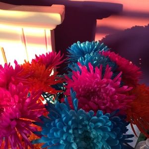 Meet your Posher, Jami